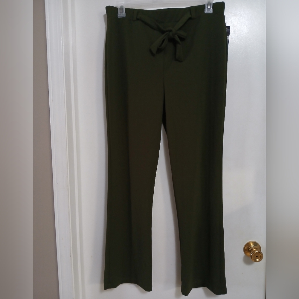 Elizabeth & Nicole Womens Pull On Straight Leg Pants 1X Dark Green
